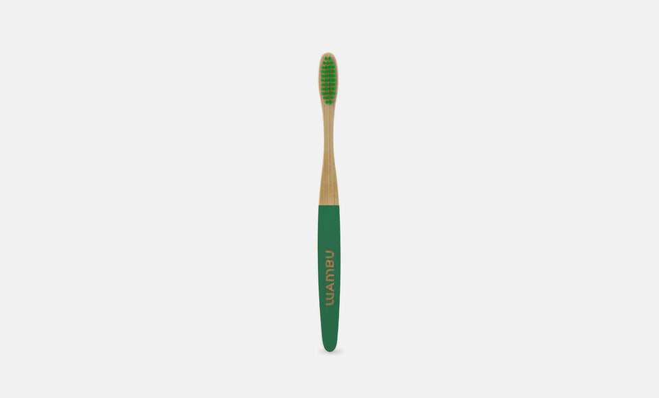 De milieuvriendelijke tandenborstel van biologische bamboe